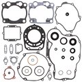 Winderosa Gasket Kit With Oil Seals for Kawasaki KDX 250 91 92 93 94 811458